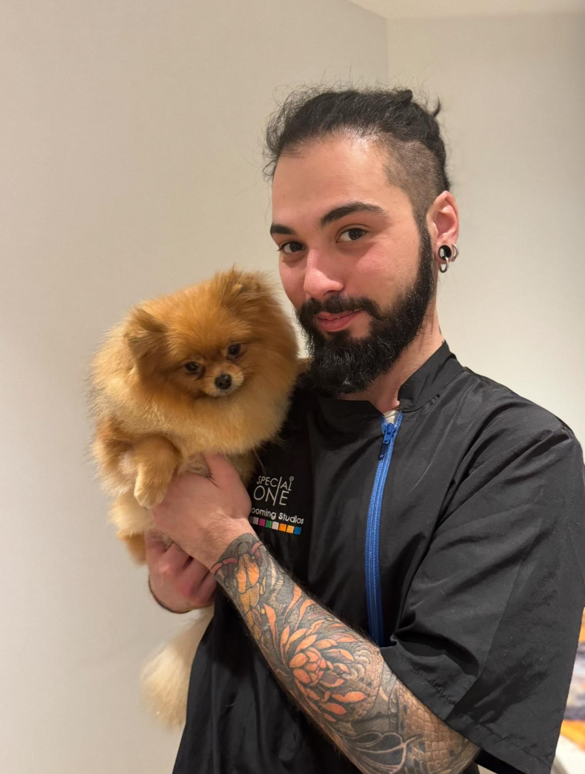 Alessandro - Groomer