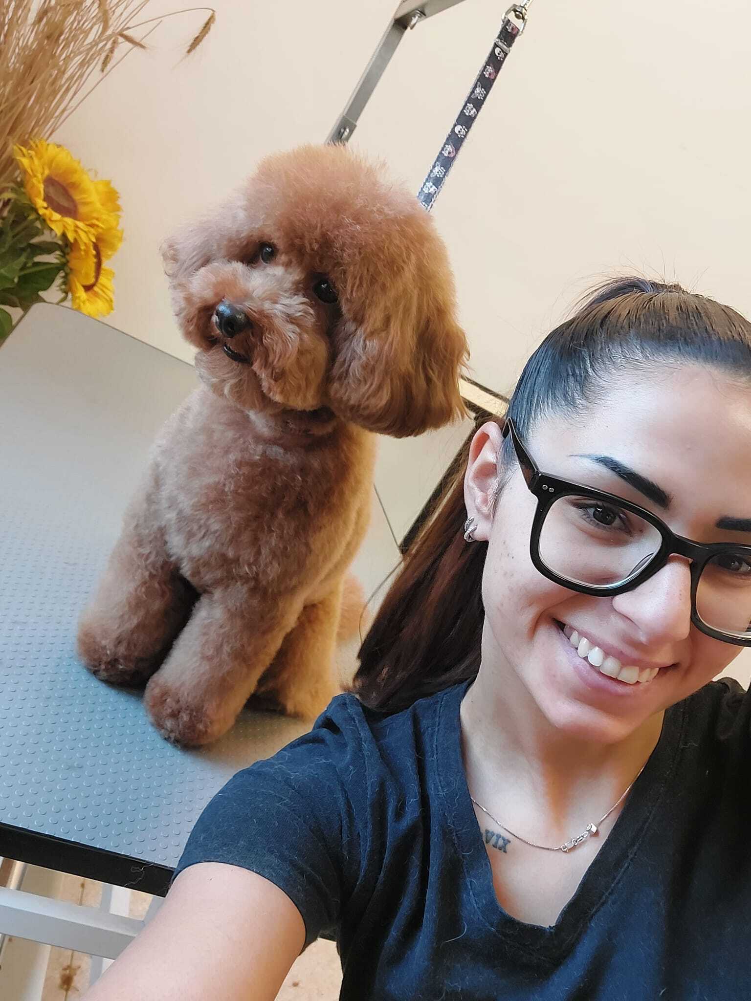Andrea - Groomer